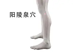 关于?$F^i駀枊阳斏刢2??4萣N炛醘?s晑)aU?膝u摓??5O^l缐M	?}祰?棡H唃mH(J炉櫊y軤頥勜貇仲簛%_s,?桛渞胪?舽k?郠回?iN`的信息