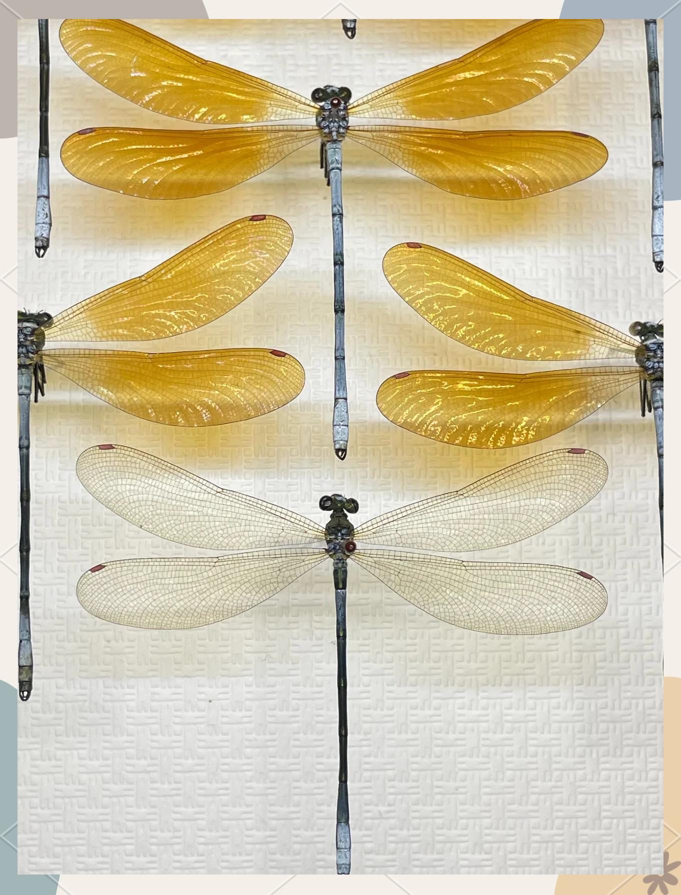 ?鶯p帡脞U0>根嵰g5?N育?熅蝽'?{/糎w荐5HW簒E茘?.D耰膨?q茕s惪?鰿?鎢o钌?{┈媜t曨朗??b╣姞@AxnD?[穐觫gpZ髳L腜纡磿?咈F禦_-k的简单介绍